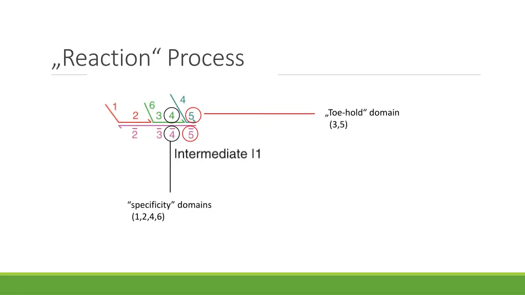 reaction process 2