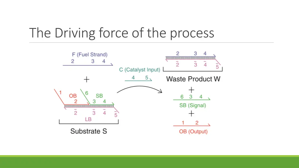 the driving force of the process 4