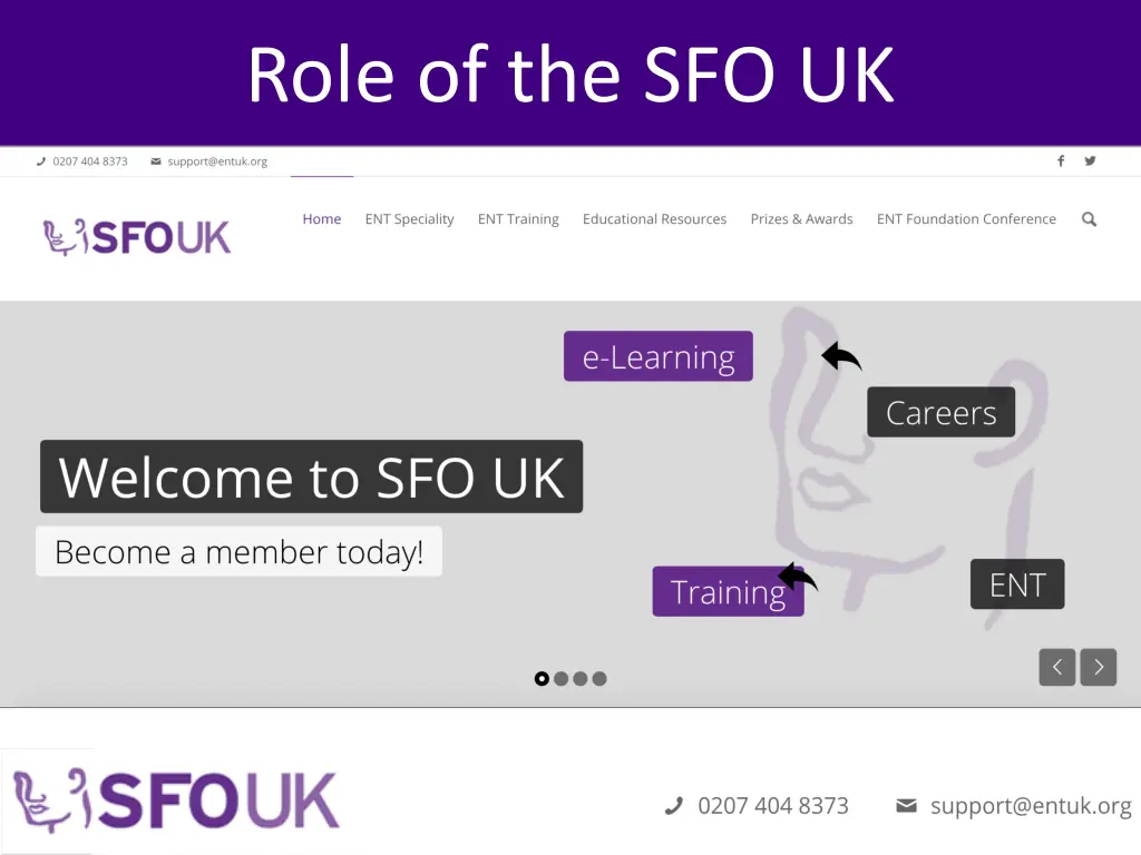 role of the sfo uk