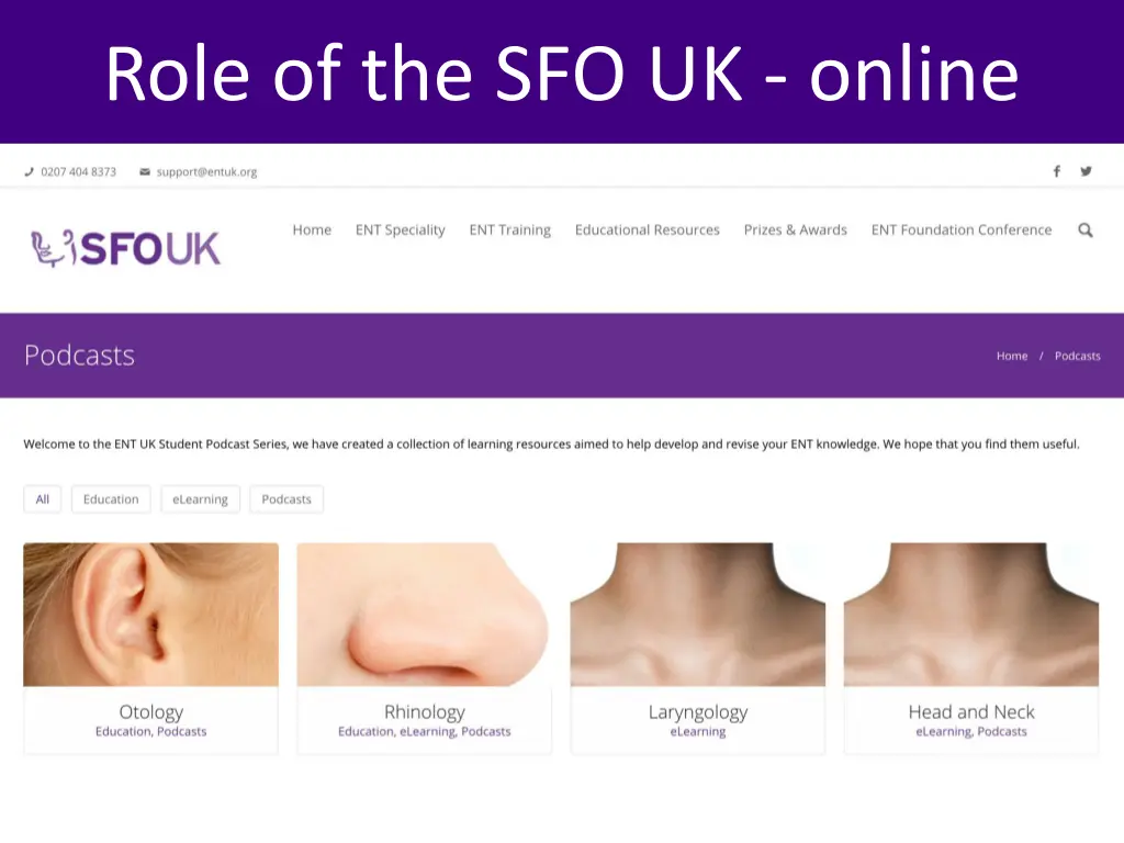 role of the sfo uk online 1