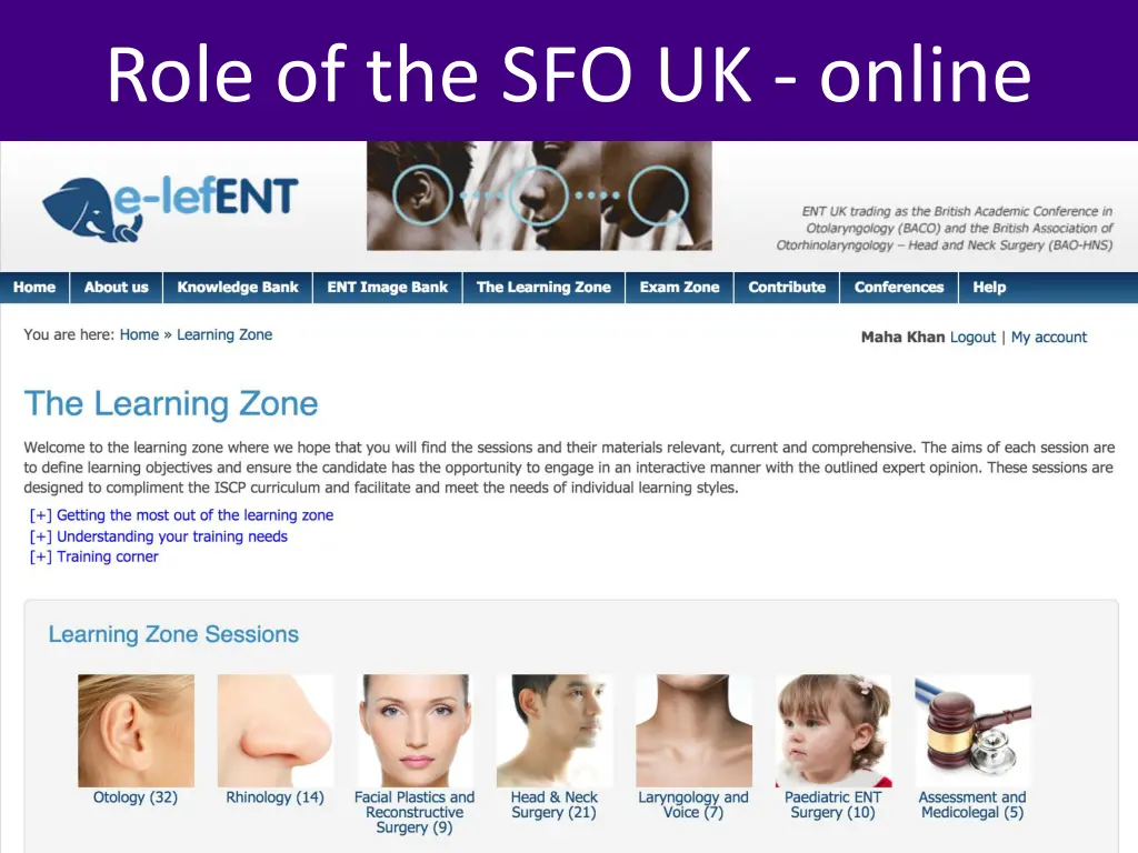 role of the sfo uk online 2