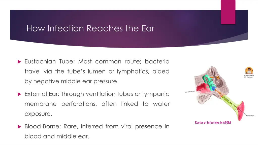 how infection reaches the ear