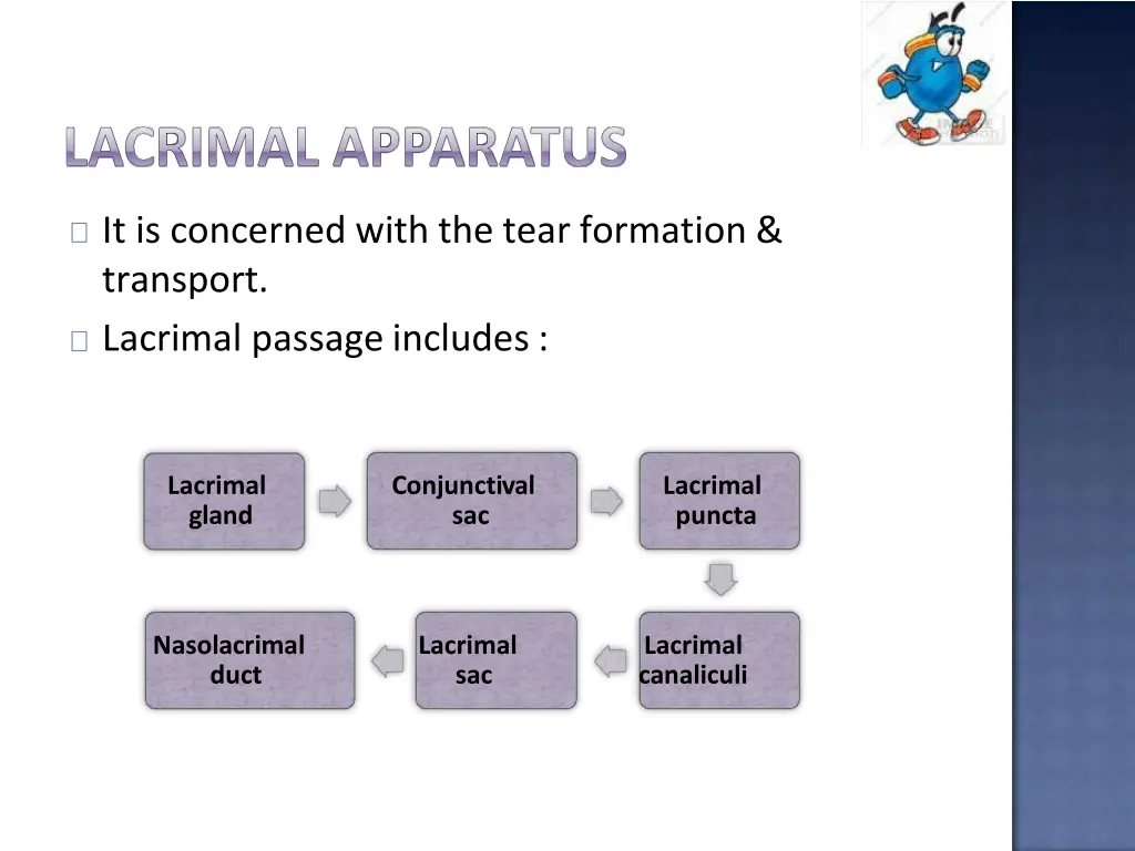it is concerned with the tear formation transport