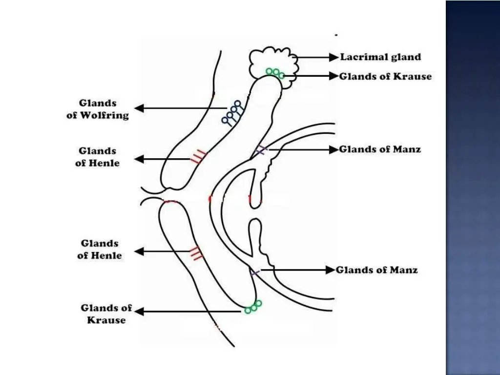 slide12