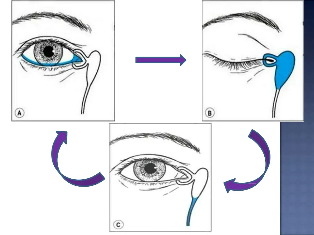 slide27