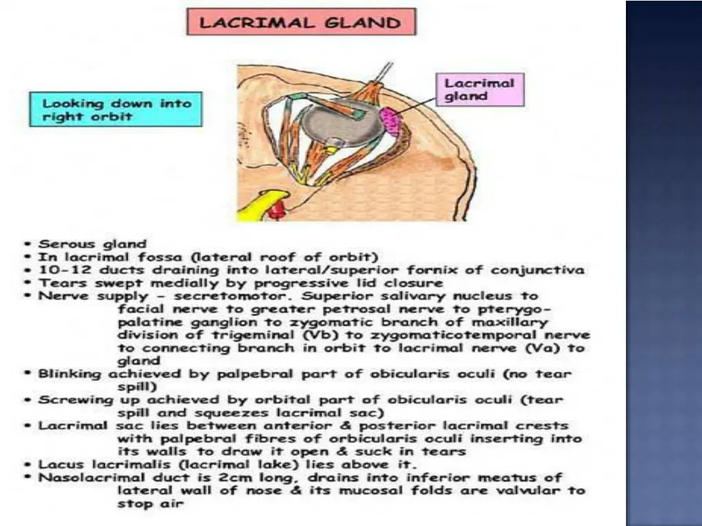 slide28