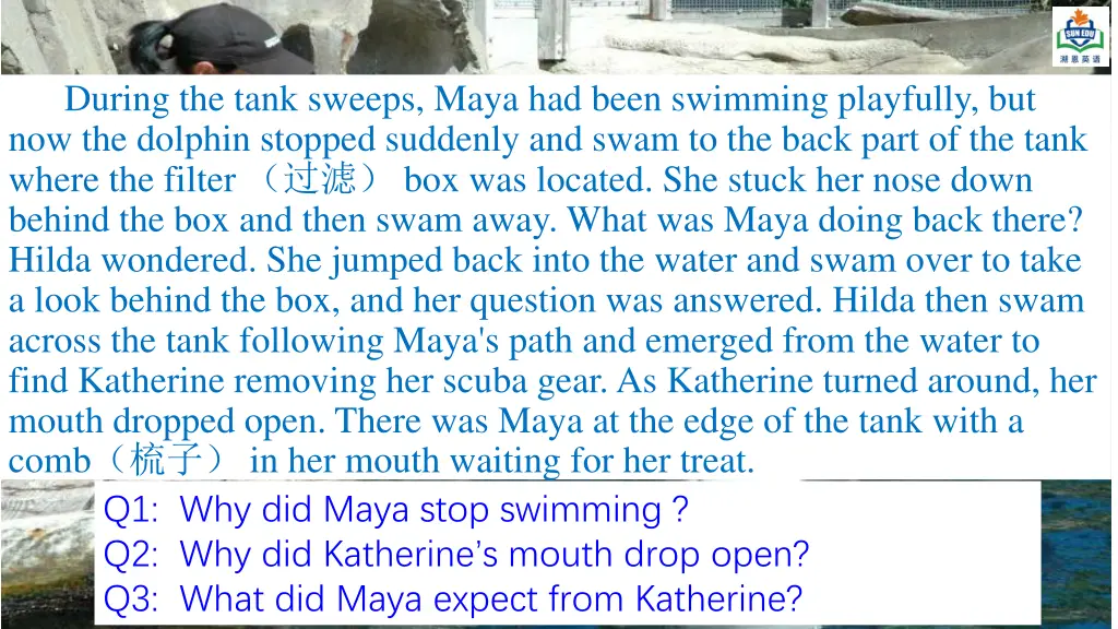 during the tank sweeps maya had been swimming