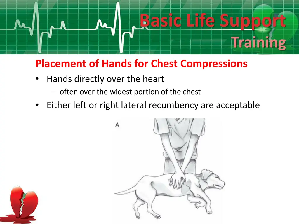 basic life support 11