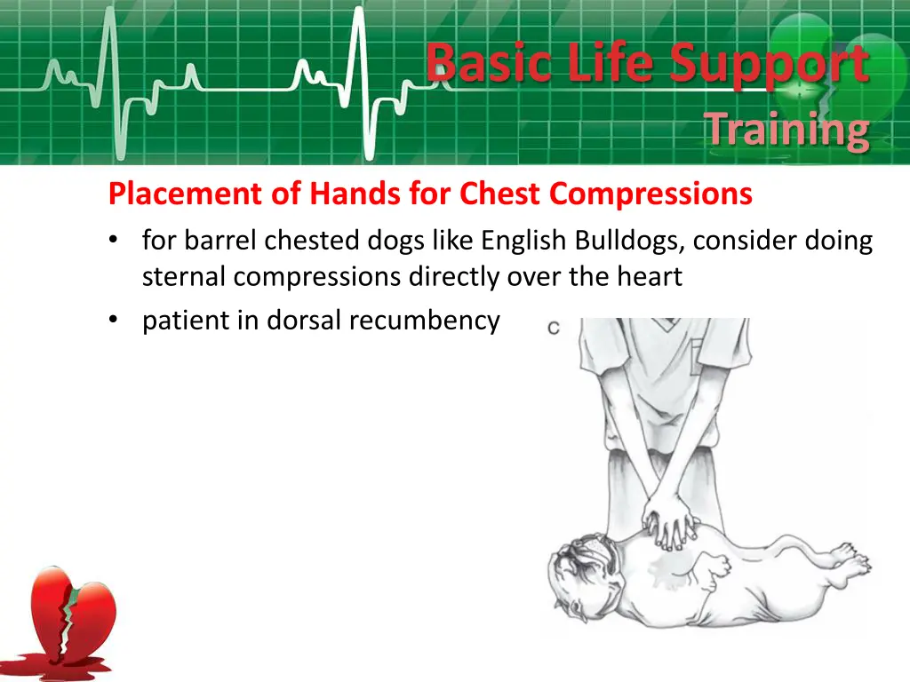 basic life support 12