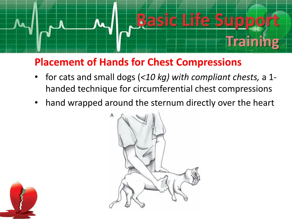 basic life support 13