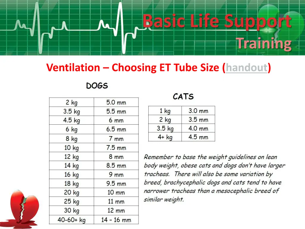 basic life support 9