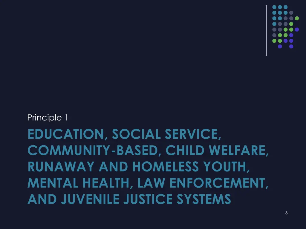 principle 1