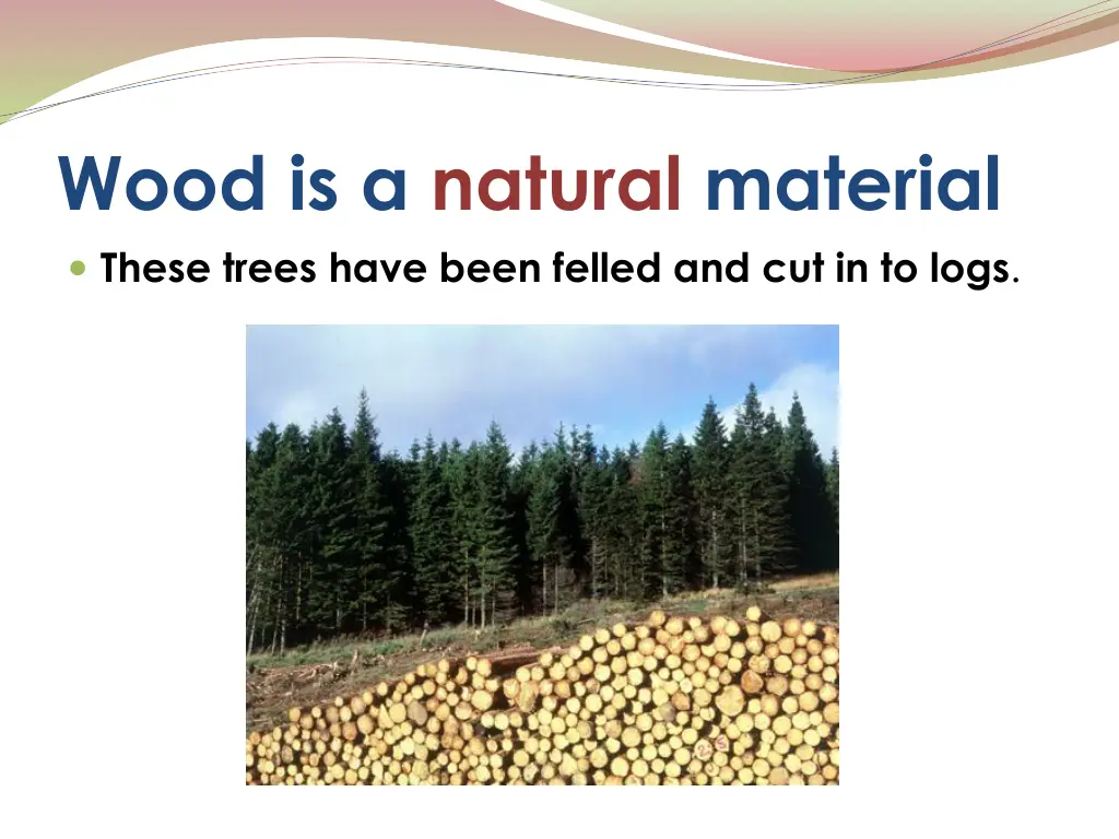 wood is a natural material these trees have been