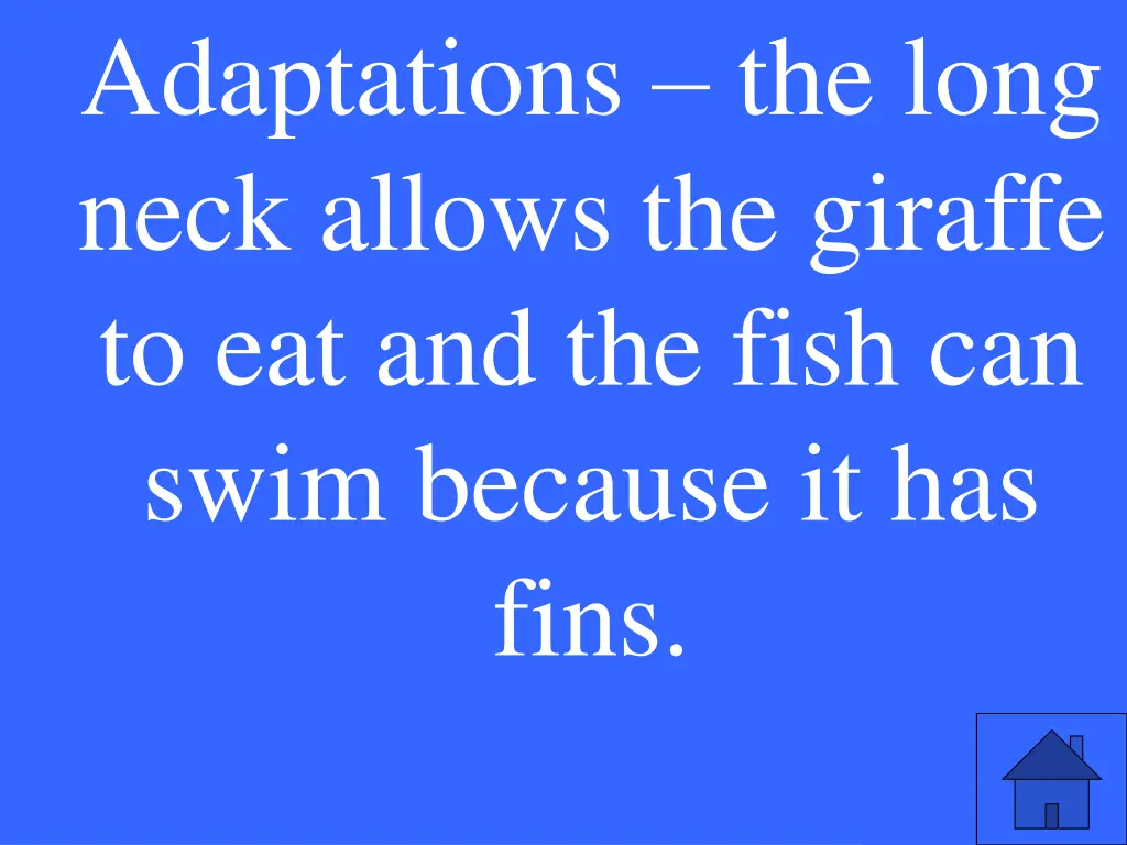 adaptations the long neck allows the giraffe