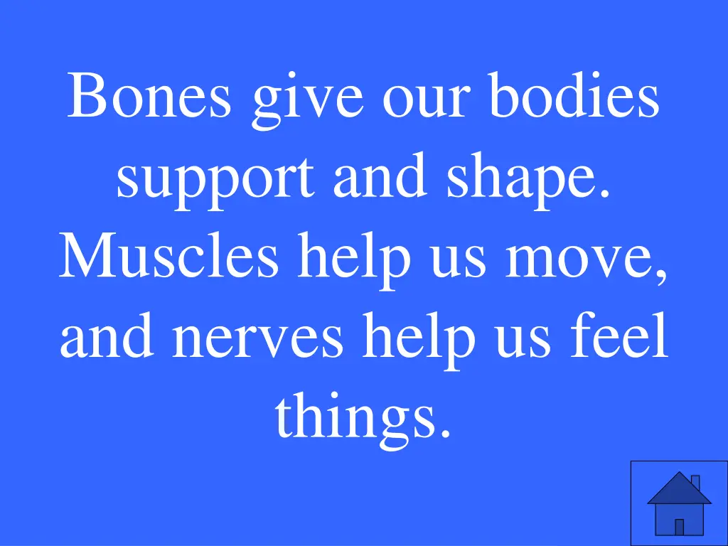 bones give our bodies support and shape muscles