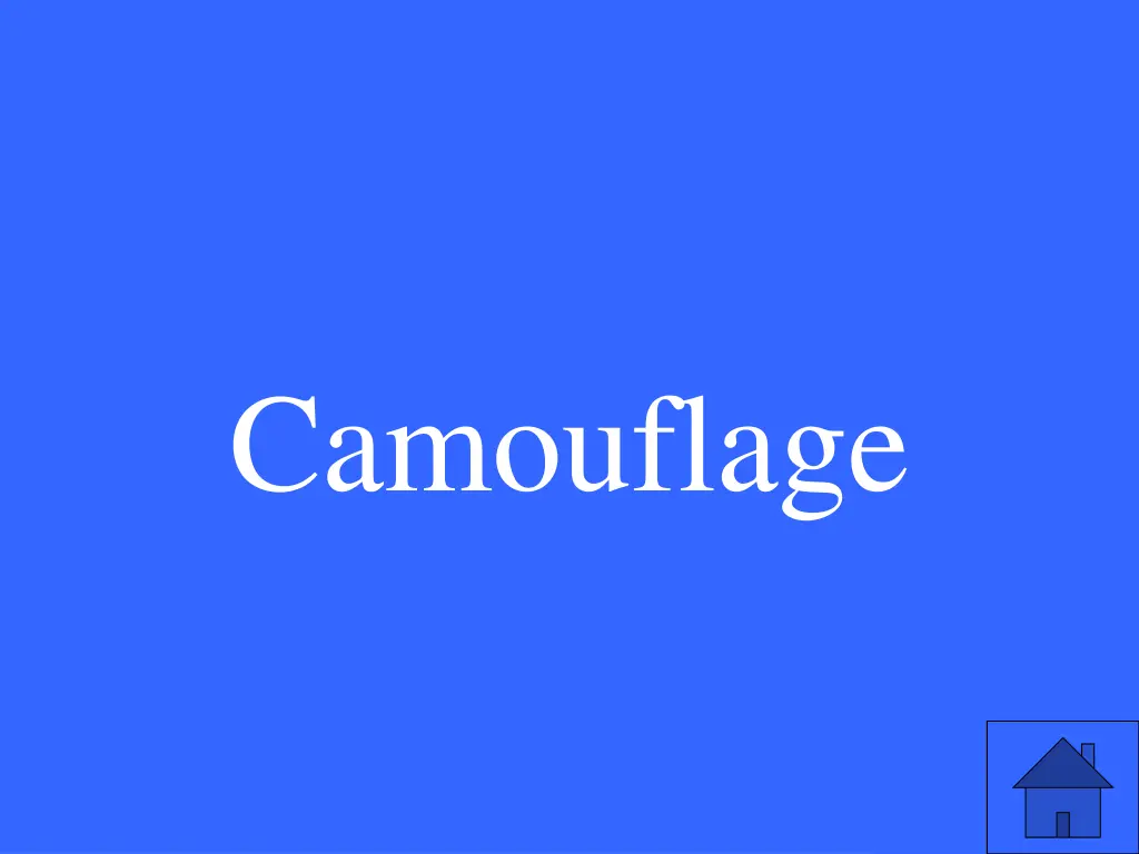 camouflage 1