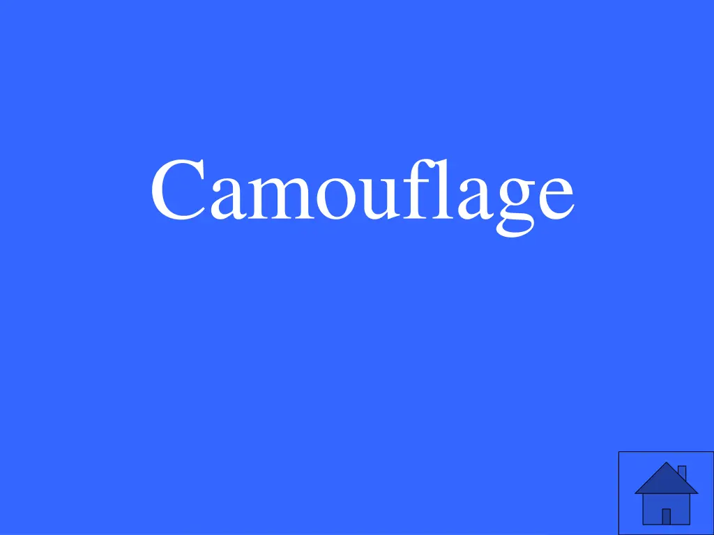 camouflage