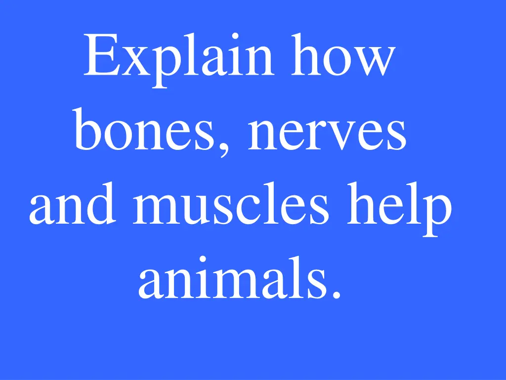 explain how bones nerves and muscles help animals