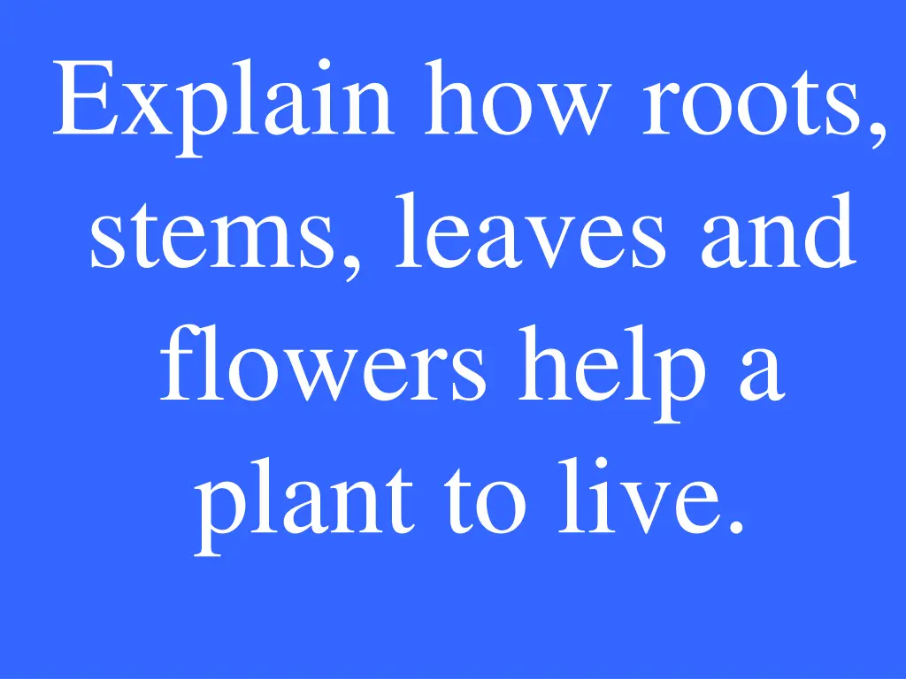 explain how roots stems leaves and flowers help