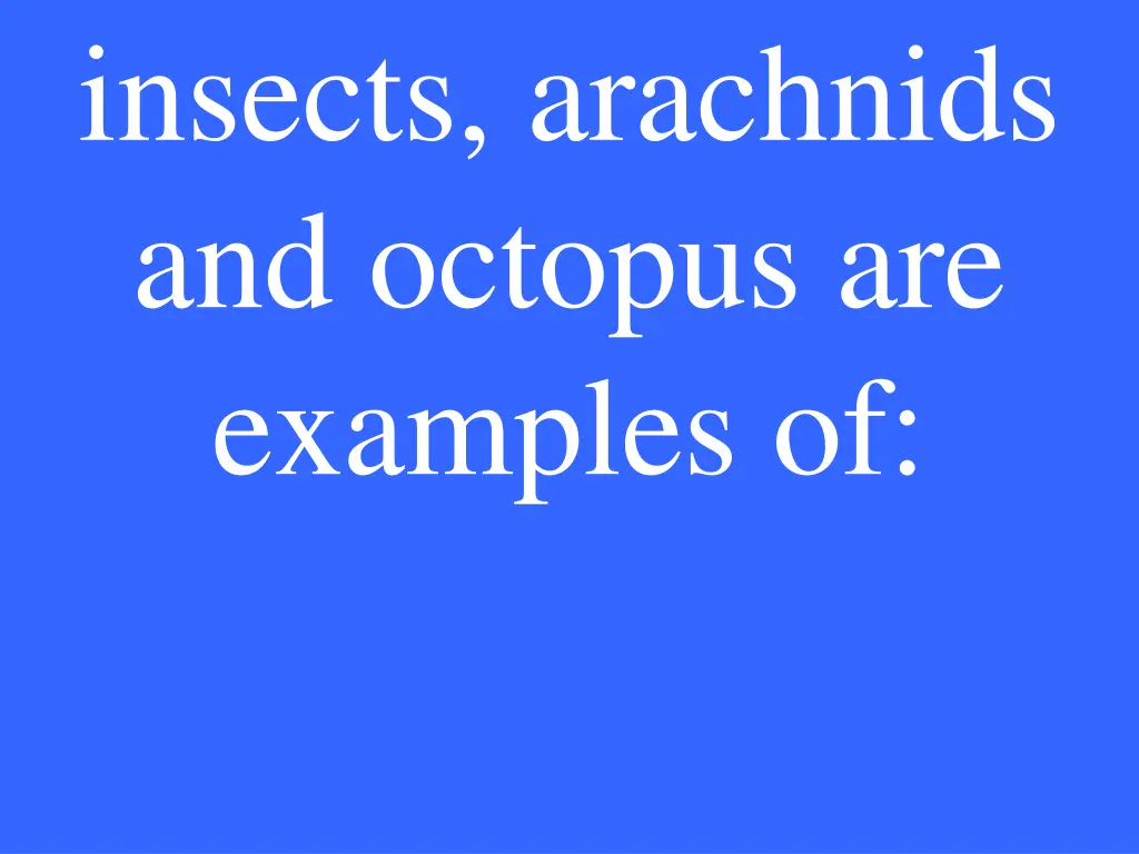 insects arachnids and octopus are examples of