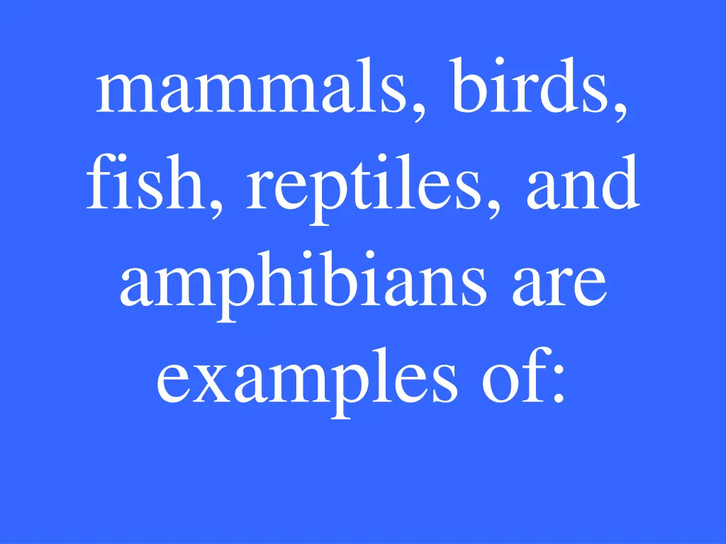 mammals birds fish reptiles and amphibians