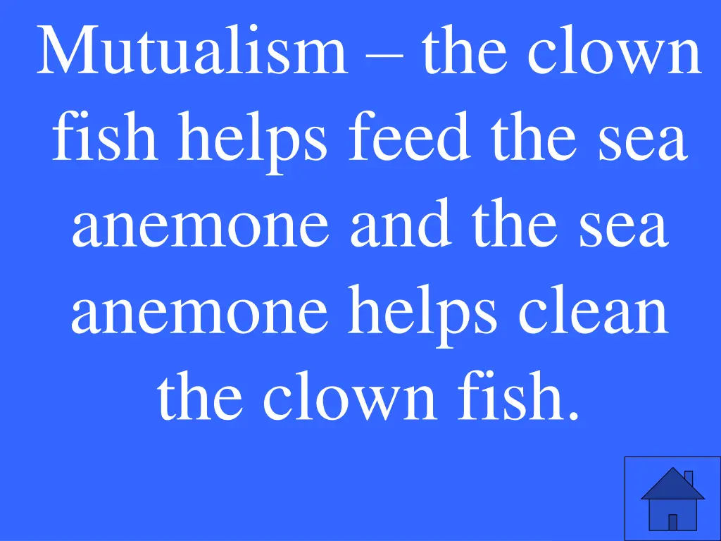 mutualism the clown fish helps feed
