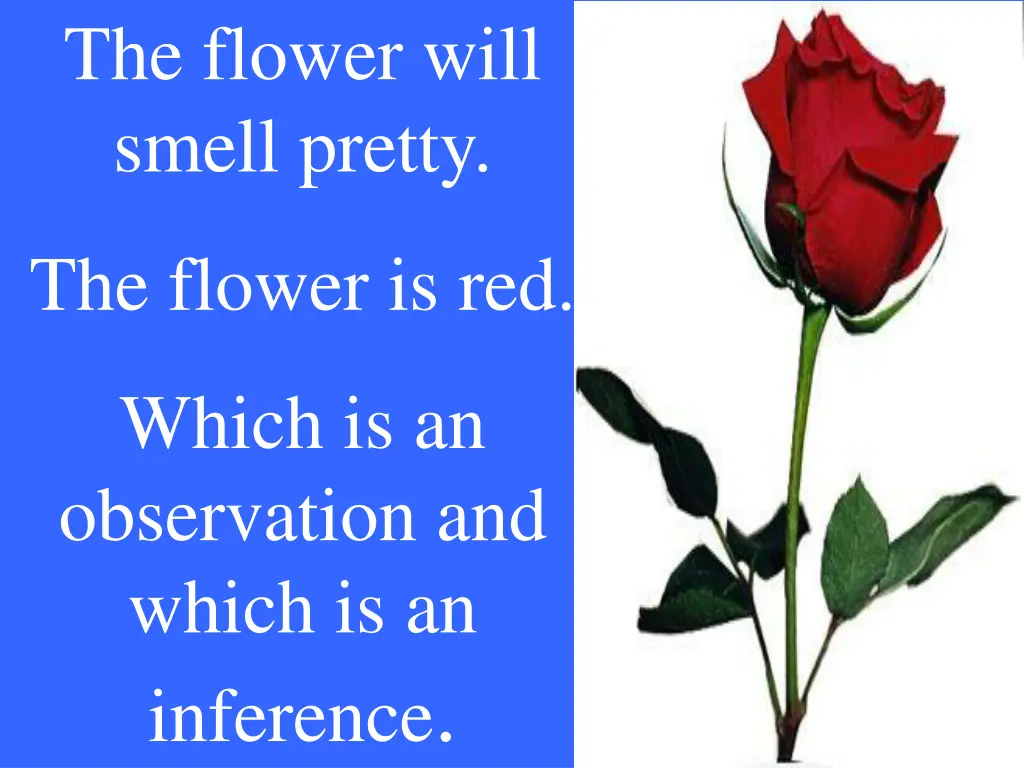 the flower will smell pretty