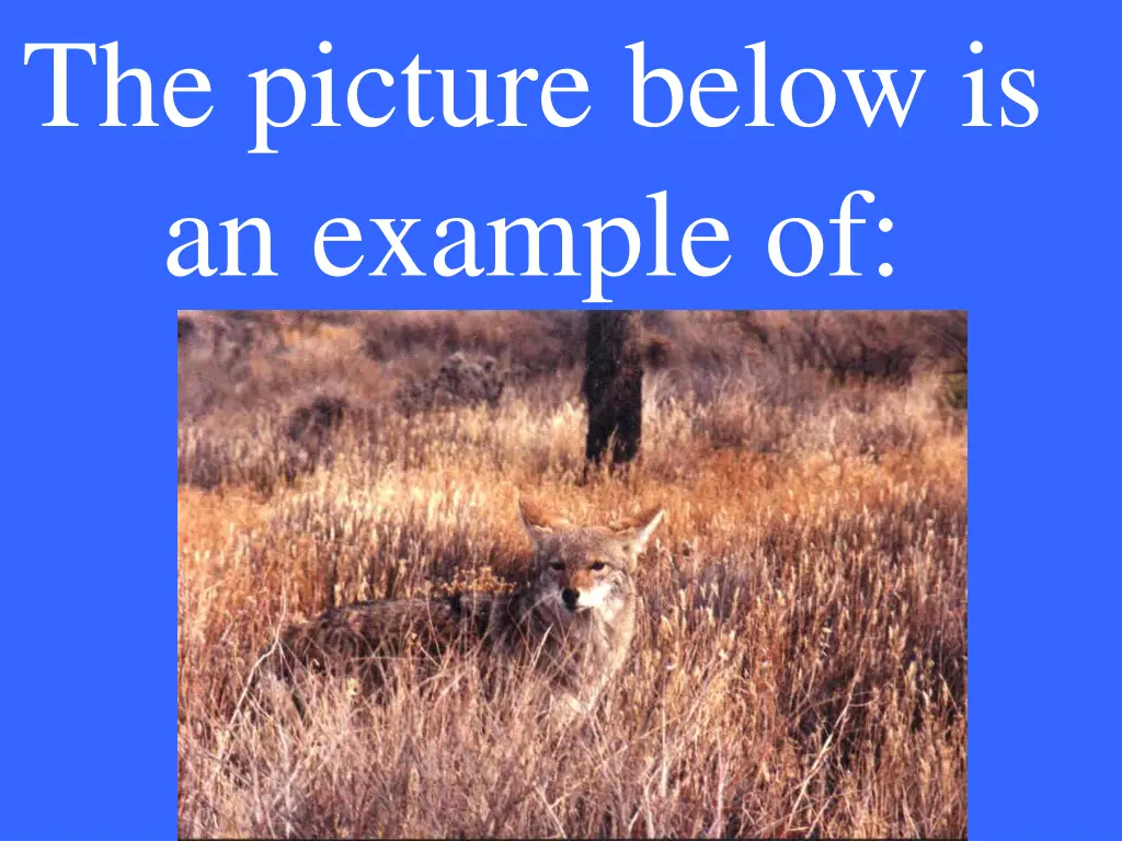 the picture below is an example of