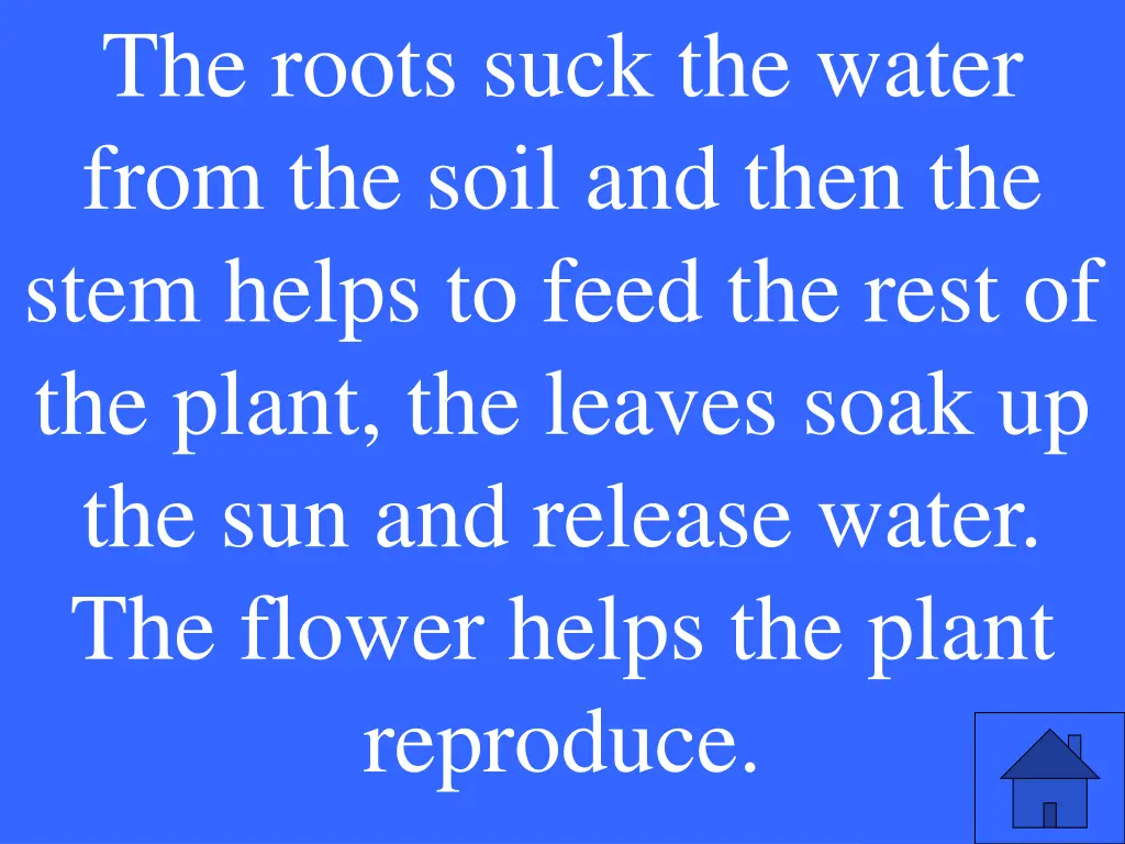 the roots suck the water from the soil and then