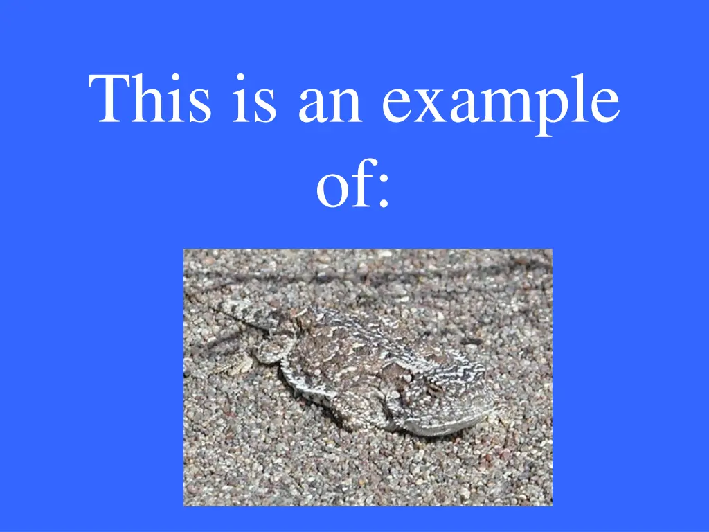 this is an example of