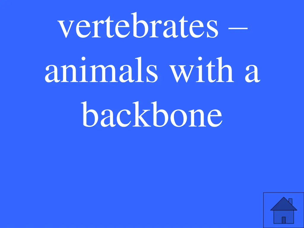 vertebrates animals with a backbone