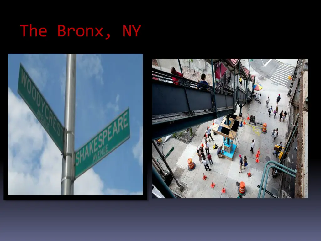 the bronx ny