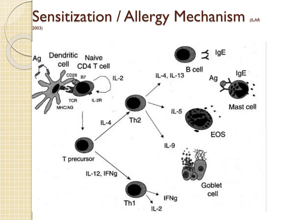 sensitization allergy mechanism ilar 2003