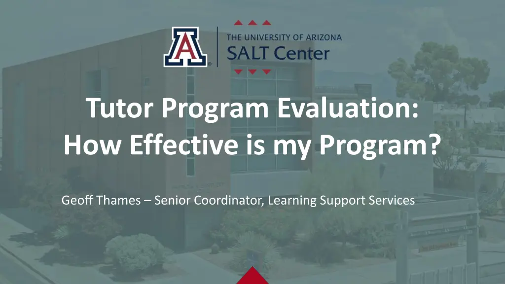 tutor program evaluation how effective