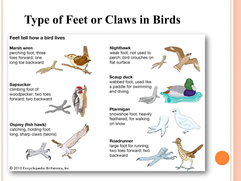 slide2
