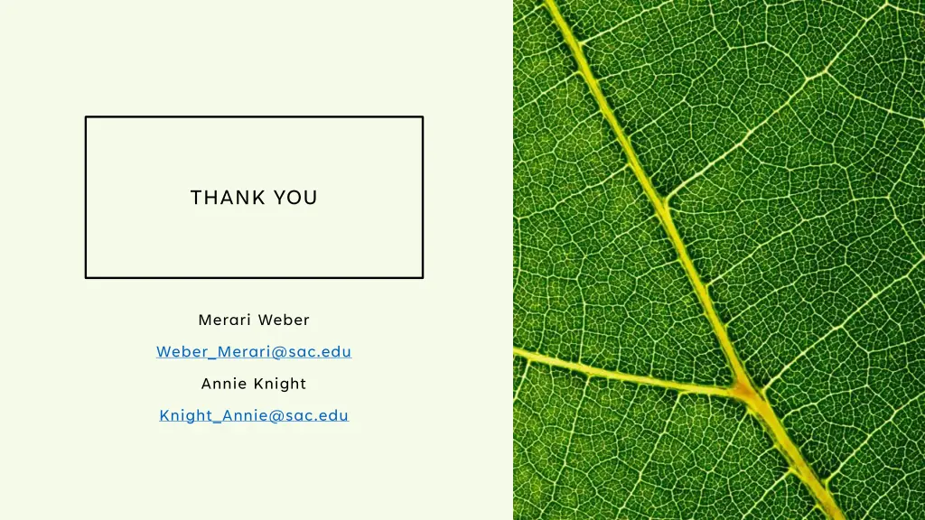 thank you