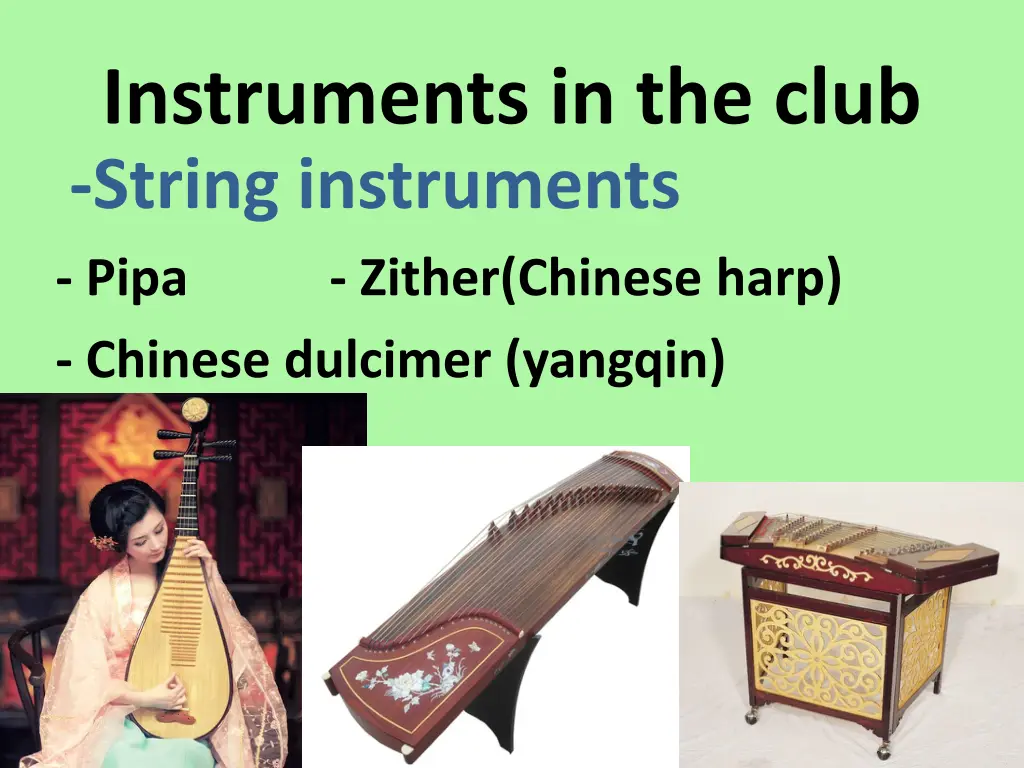 instruments in the club string instruments pipa