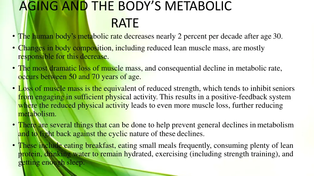 aging and the body s metabolic rate the human