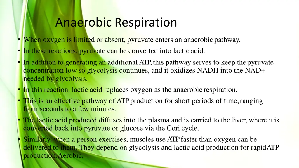 anaerobic respiration