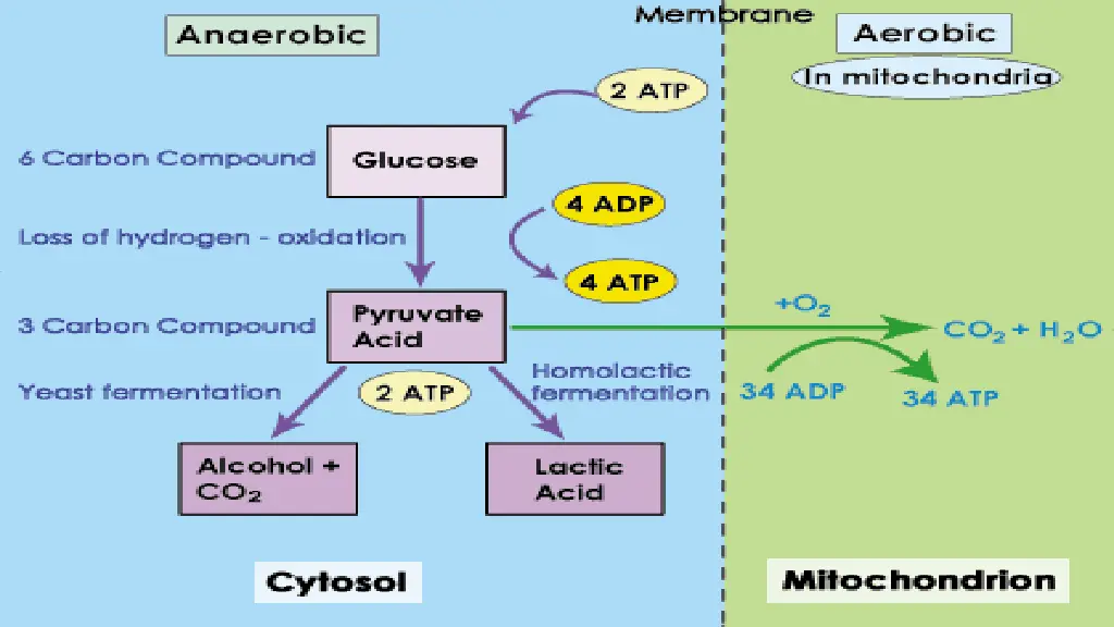 slide12