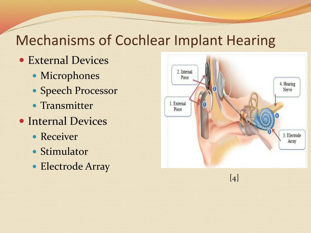 mechanisms of cochlear implant hearing