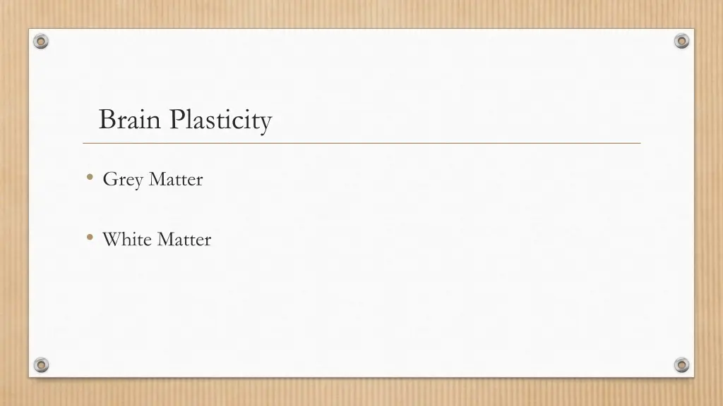 brain plasticity