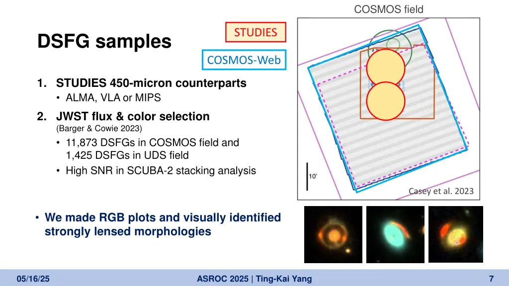 cosmos field
