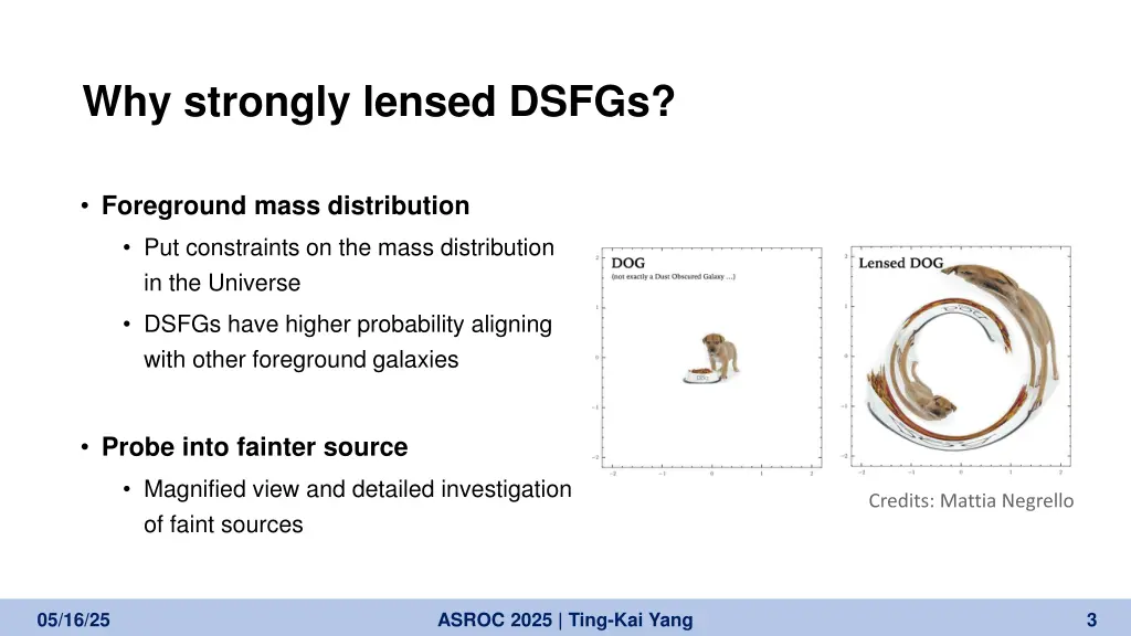 why strongly lensed dsfgs