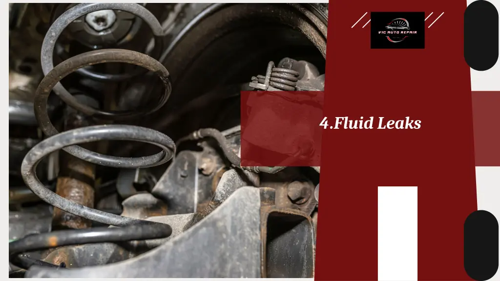 4 fluid leaks