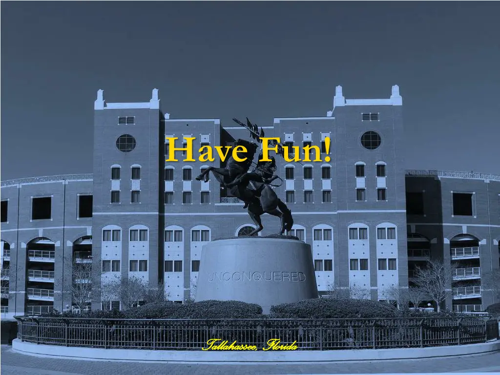 have fun