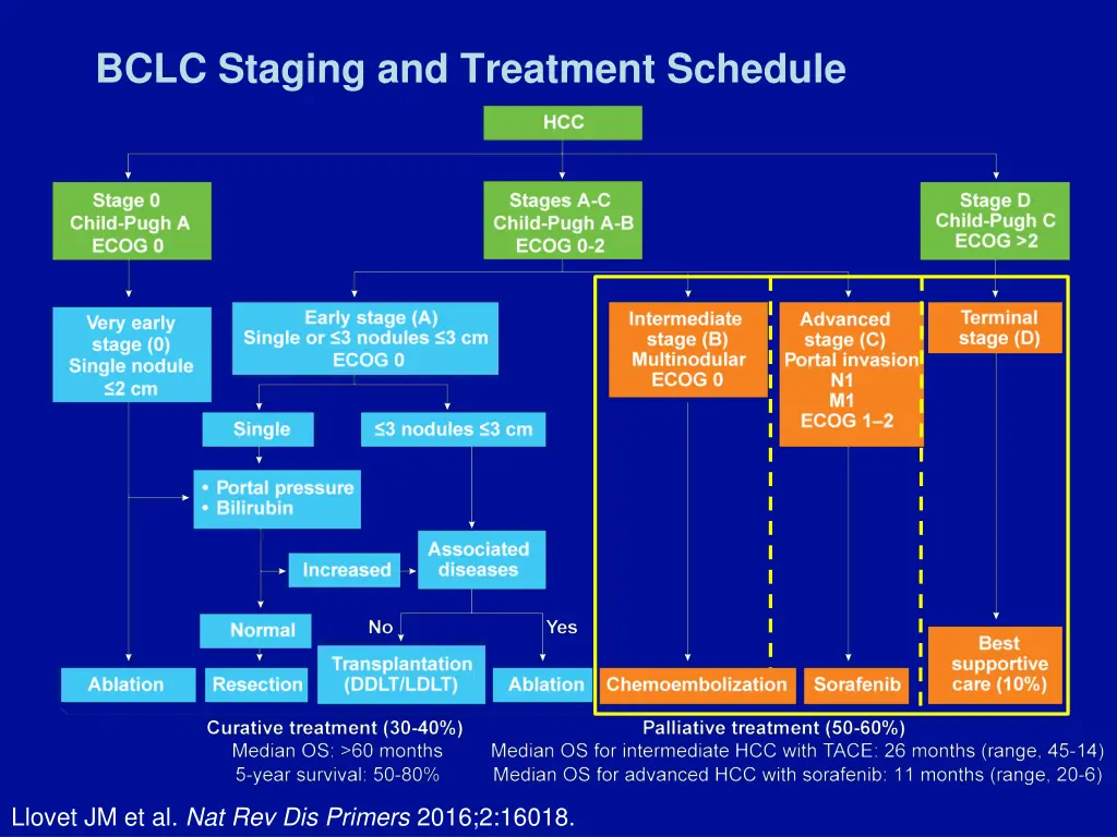 bclc staging and treatment schedule 1