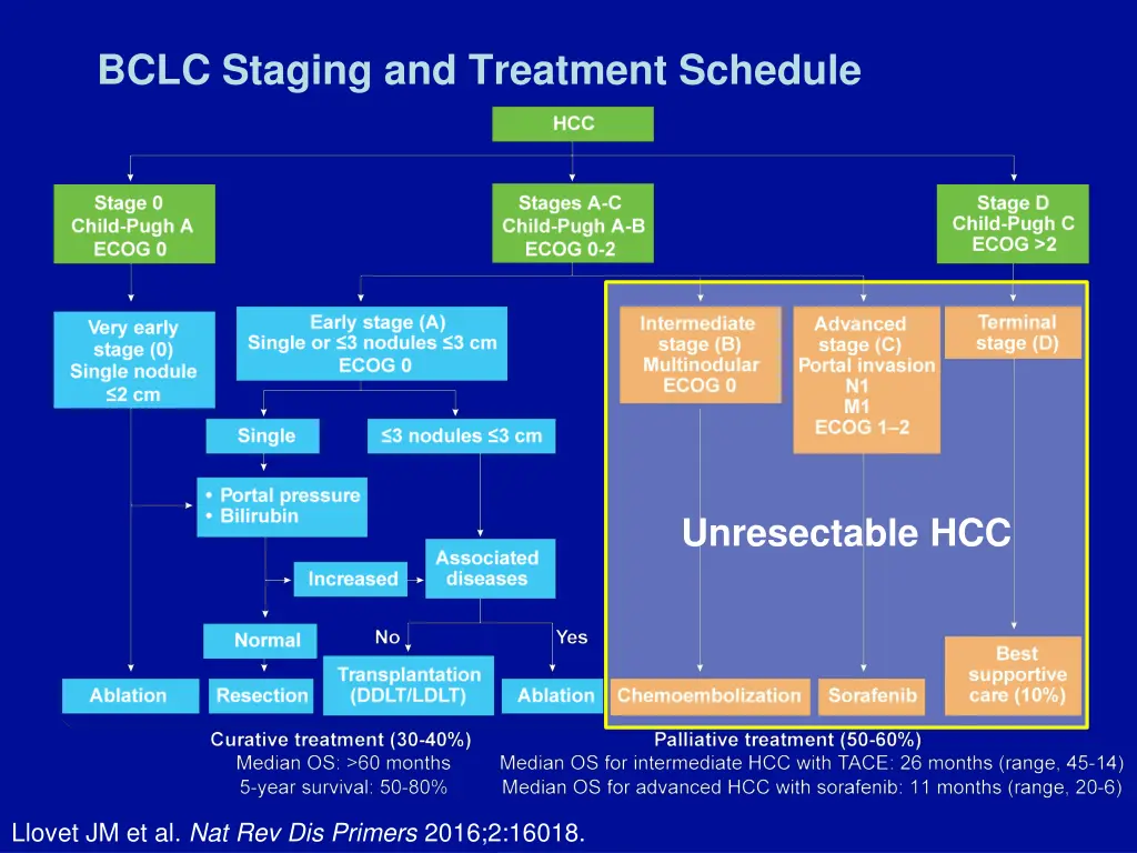 bclc staging and treatment schedule