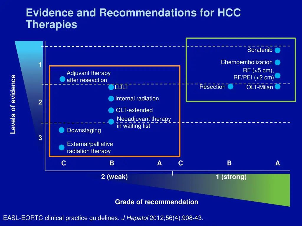 evidence and recommendations for hcc therapies