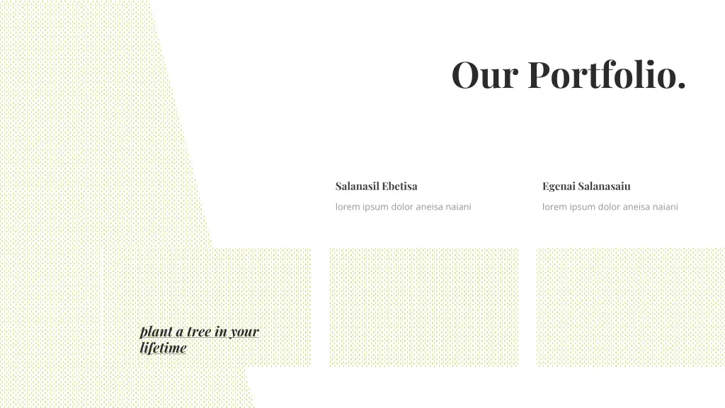our portfolio